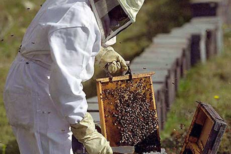 Entre R&iacute;os busca posicionar su miel con un plan de calidad y trazabilidad