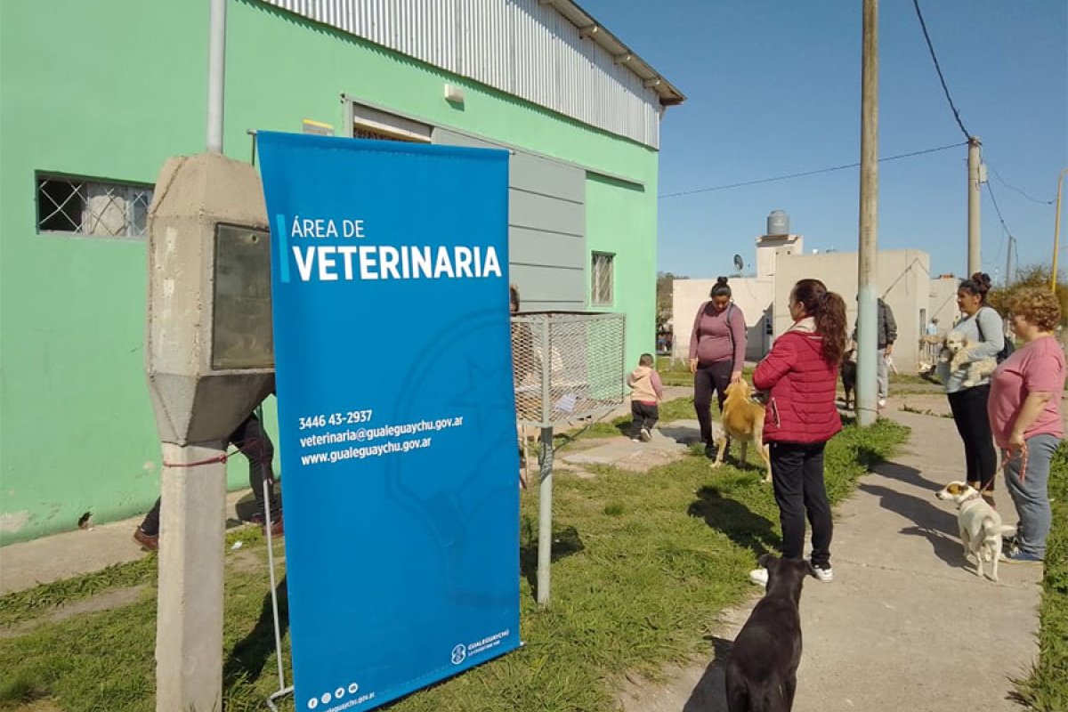 La Municipalidad de Gualeguaychú continúa con la Campaña de Vacunación Antirrábica, Desparasitación y Control de Vacunas para animales domésticos.