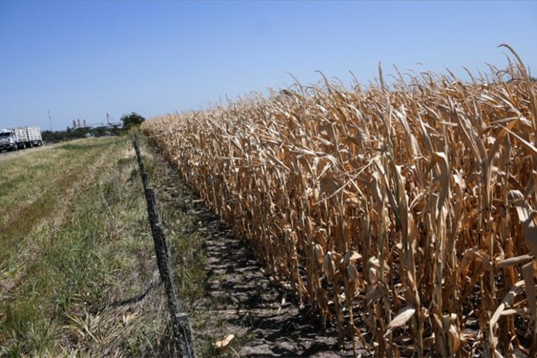 Entre Ríos en emergencia hídrica: Gualeguaychú enfrenta un panorama crítico