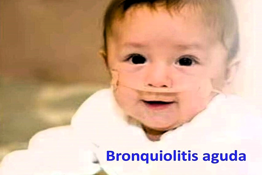 Transmiten los anticuerpos a trav&eacute;s de la placenta y la lactancia a los beb&eacute;s
