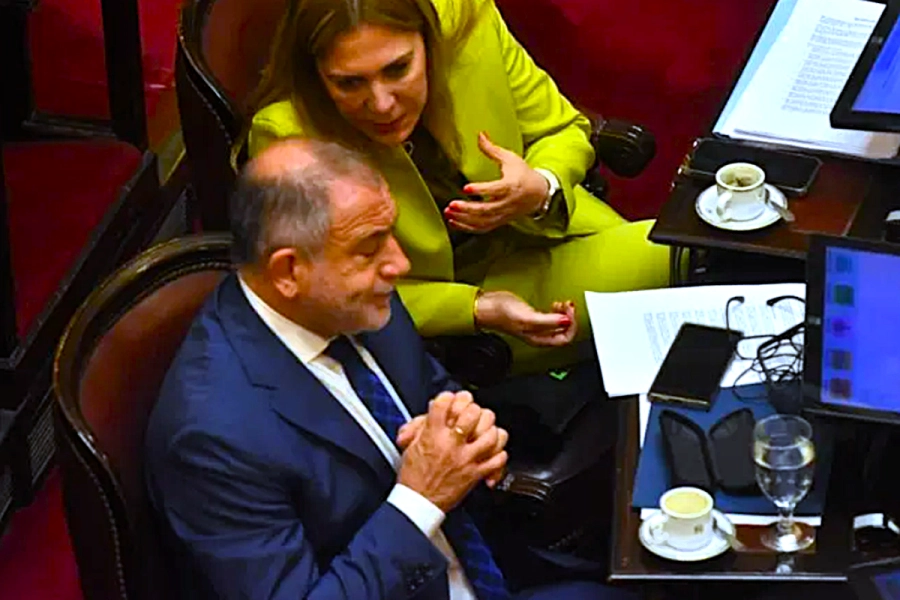 Luis Juez. Jefe de Bloque PRO en el Senado