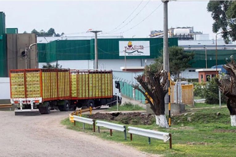 Crisis y despidos en Granja Tres Arroyos: &ldquo;Dejaron 70 familias en la calle&rdquo;