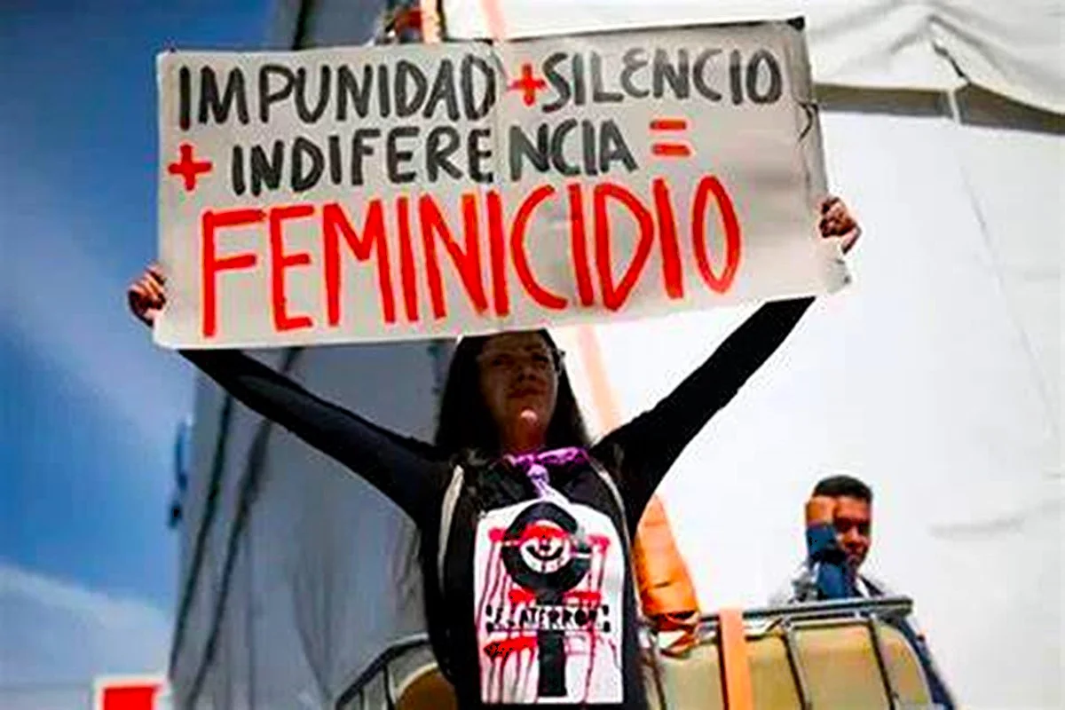 "En 2024, hubo 267 femicidios, uno cada 30 horas"