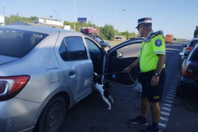 Detienen con un kilo de cocaína a una mujer buscada en Buenos Aires