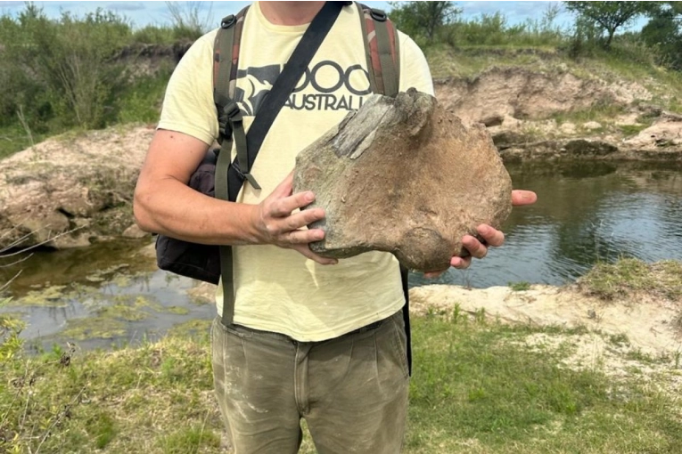 Confirman un nuevo hallazgo paleontológico en la reserva natural Las Piedras