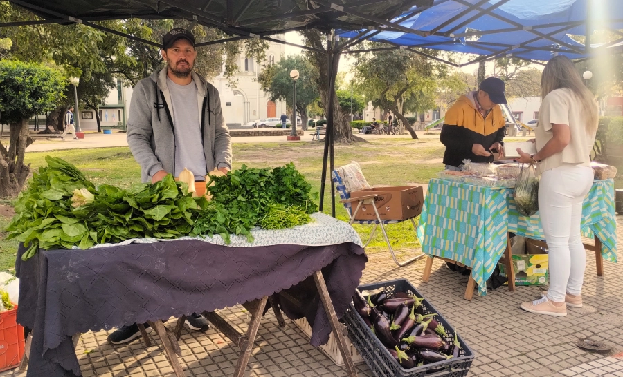 “Producimos los ahuyenta bichos y nuestros propios fertilizantes”