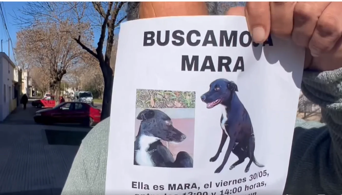 Búsqueda desesperada de Mara