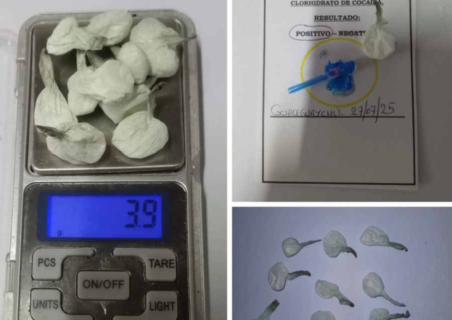 Coca&iacute;na incautada (fuente: Polic&iacute;a de Entre R&iacute;os)