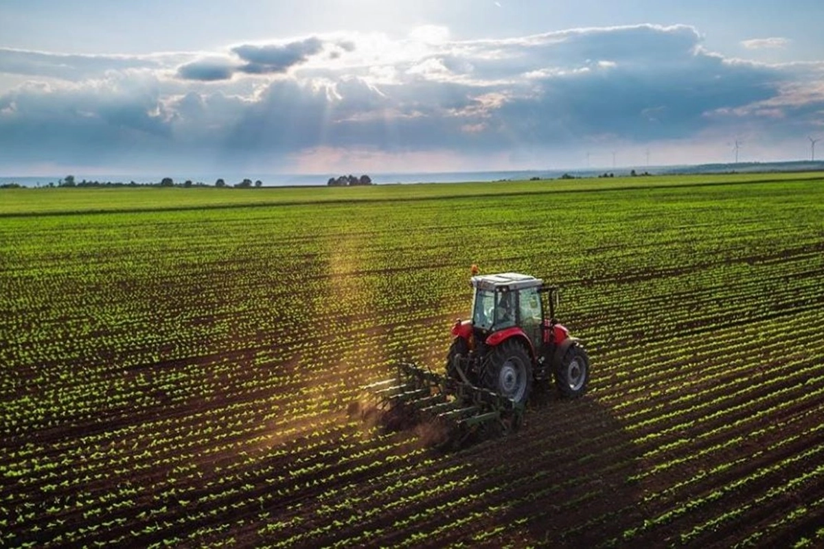 Campo: el alivio tributario fue limitado