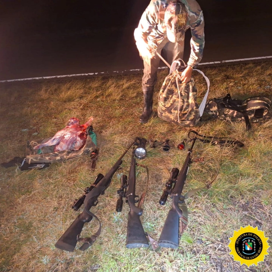 Operativos: Brigadas de Abigeato de Diamante y Paran&aacute;