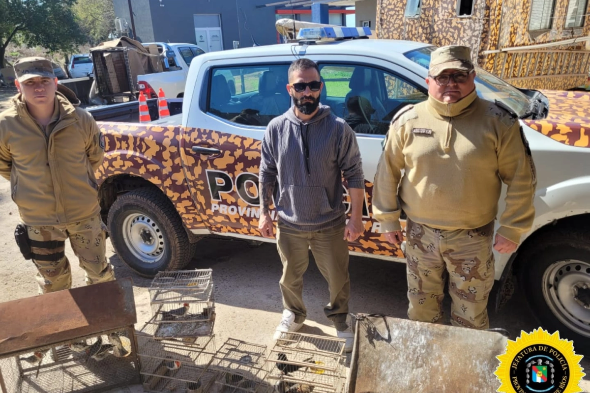 Operativo: 30 aves rescatadas