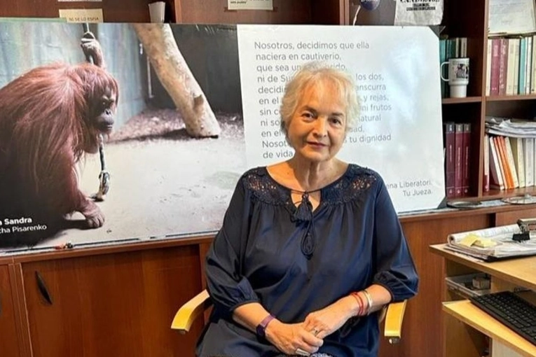 Sandra, la orangutana que abrió el camino: a una década del fallo que desafió el Código Civil