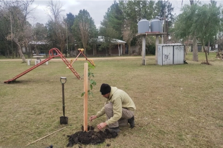 Plantaron 21 nuevos &aacute;rboles en los barrios Don Pedro y Toto Irigoyen