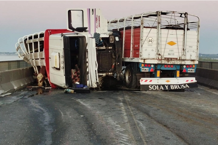 Grave choque en el puente Victoria- Rosario: un toro embisti&oacute; a una adolescente que auxiliaba