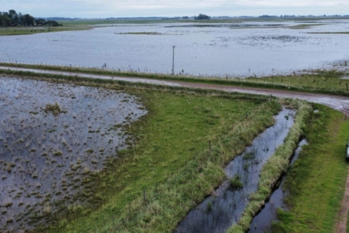 Estimaciones: 1 millón de hectáreas bajo el agua