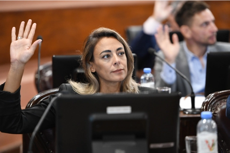 Reforma previsional: &ldquo;Una banca no es una decisi&oacute;n individual aislada&rdquo;, expres&oacute; Arrozogaray