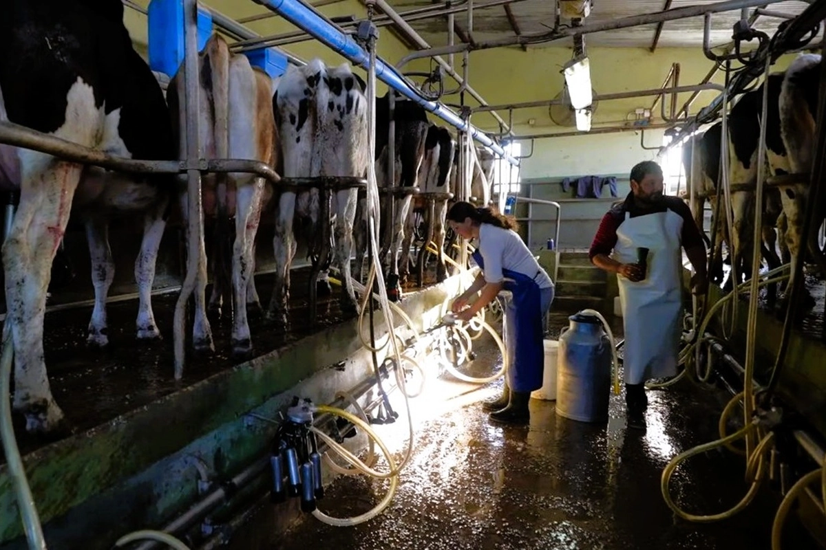 Verde en producción y amarillo en lo económico