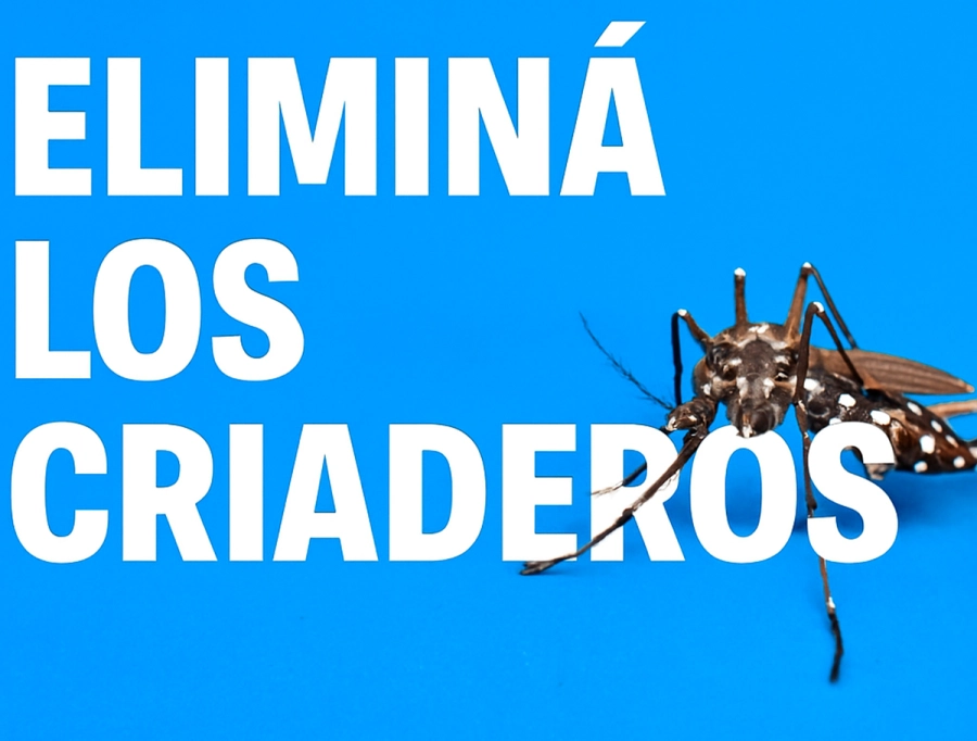 Prevenci&oacute;n: elimin&aacute; al Chikungunya