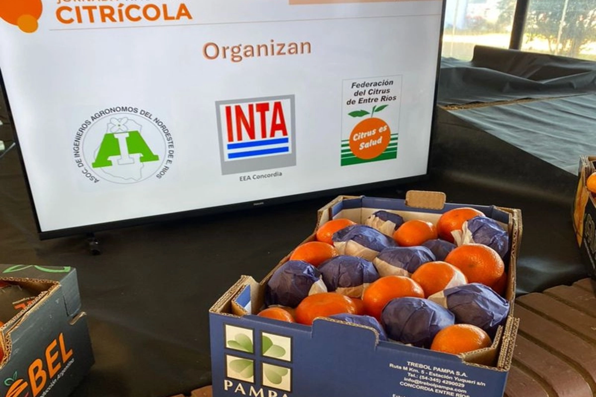 Jornada Citrícola Nacional INTA Concordia