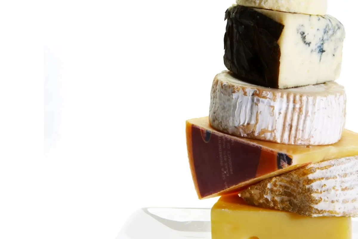 Diplomatura a distancia única en Iberoamérica.