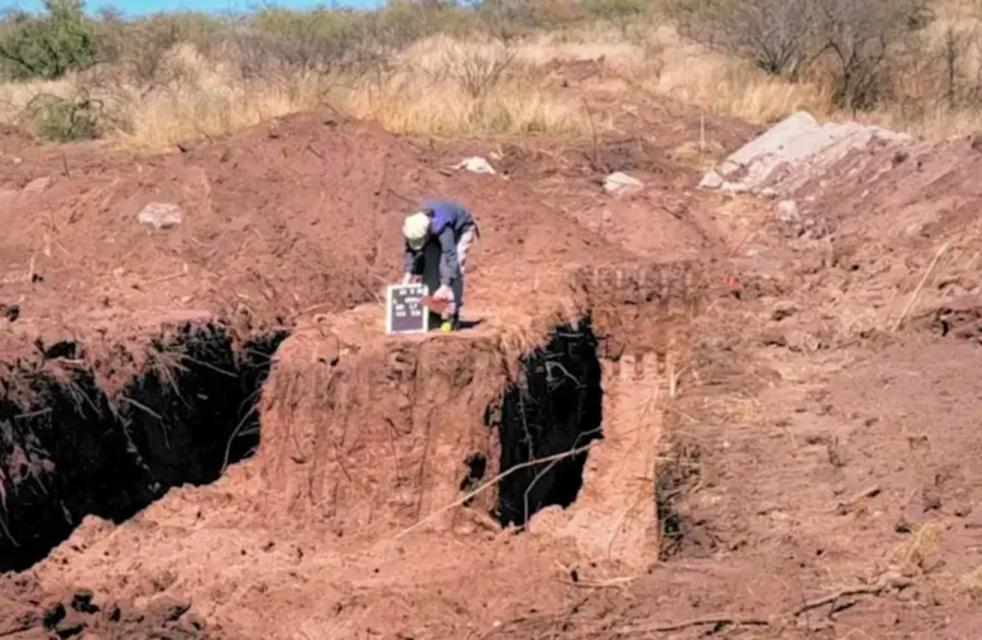 Impulsar&aacute;n una "Ley de b&uacute;squeda" que se la establezca como pol&iacute;tica de Estado