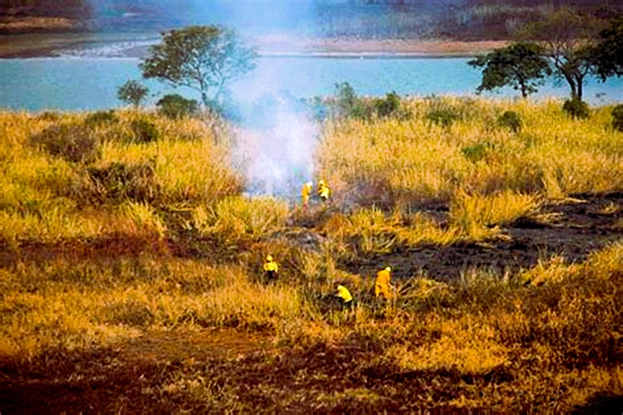 Entre enero y septiembre de 2020 se quemaron 328.995 hect&aacute;reas, equivalentes al 14 % del territorio comprendido por el plan