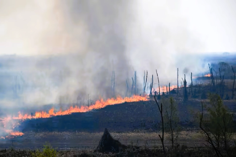 La Corte condenó a Nación, Buenos Aires, Entre Ríos y Santa Fe por los incendios en las islas del Delta