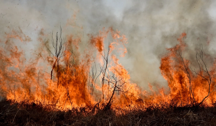 Los incendios derivados de quemas no controladas provocaron p&eacute;rdidas ambientales severas