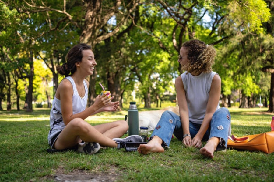 <i>Los licuados de frutas sin az&uacute;car y las infusiones fr&iacute;as, como t&eacute;s o tisanas, pueden ser alternativas saludables</i>