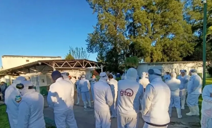 <i>Los empleados denuncian que la compa&ntilde;&iacute;a utiliza los despidos como mecanismo de presi&oacute;n para imponer condiciones laborales m&aacute;s precarias</i>