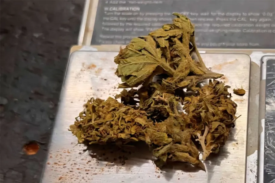 <i>Ante el hallazgo de estupefacientes, se dio inmediata intervenci&oacute;n a la Divisi&oacute;n de Drogas Peligrosas</i>