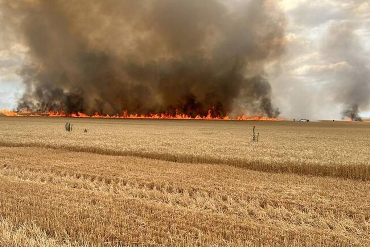 M&aacute;s de 10 hect&aacute;rea de soja consumidas por el fuego