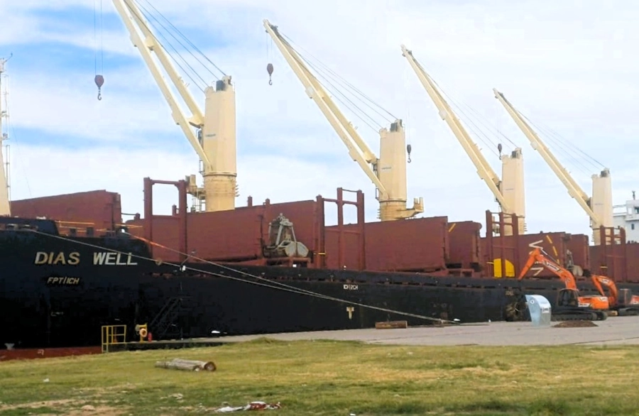 <i>La paralizaci&oacute;n de la actividad afecta directamente la operatoria de buques internacionales, como el Dias Well de bandera paname&ntilde;a</i>