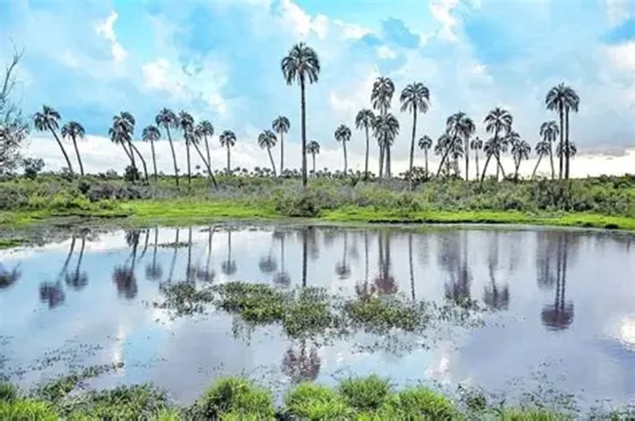 Humedales en Entre R&iacute;os