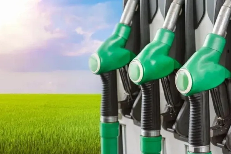 La Uni&oacute;n Europea pone en jaque al biodi&eacute;sel argentino con nueva clasificaci&oacute;n ambiental