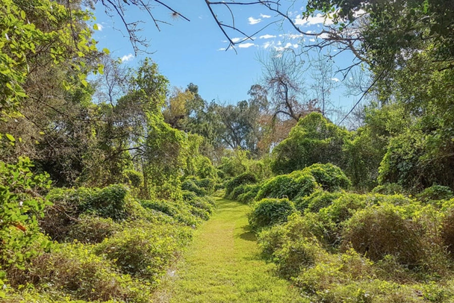 <i> Reserva Natural Municipal &ldquo;Las Piedras&rdquo;</i>
