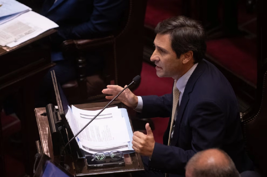 <i>El presidente del PRO en la C&aacute;mara alta Mart&iacute;n Goerling</i>