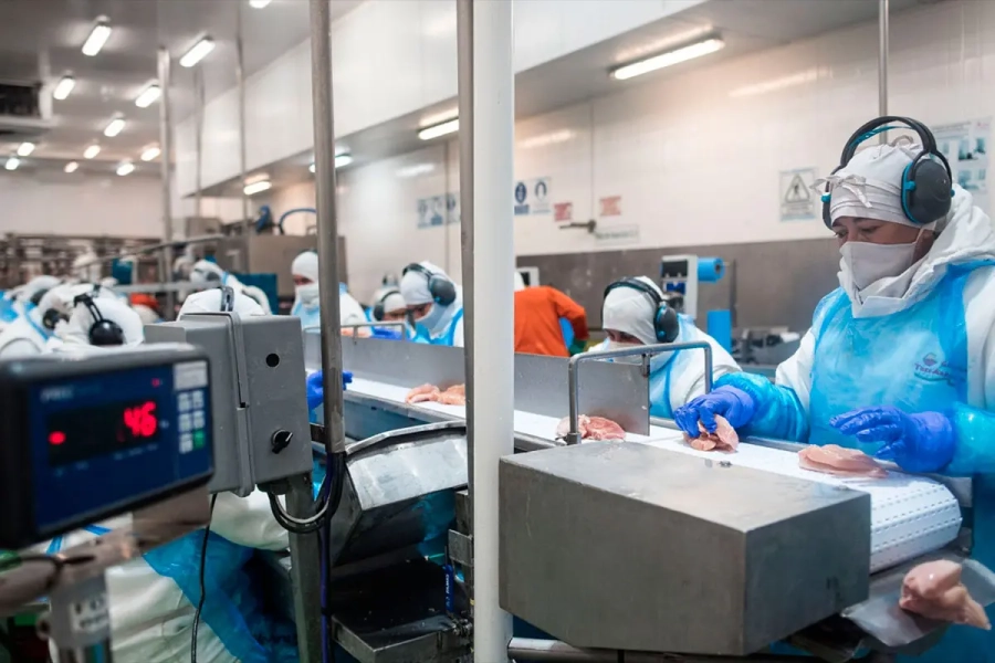 <i>Entre enero y noviembre de 2025, los env&iacute;os crecieron a&uacute;n m&aacute;s, llegando a casi 17 millones de euros</i>