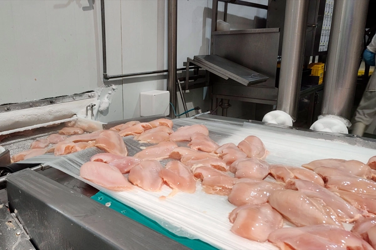 La Uni&oacute;n Europea autoriz&oacute; las exportaciones