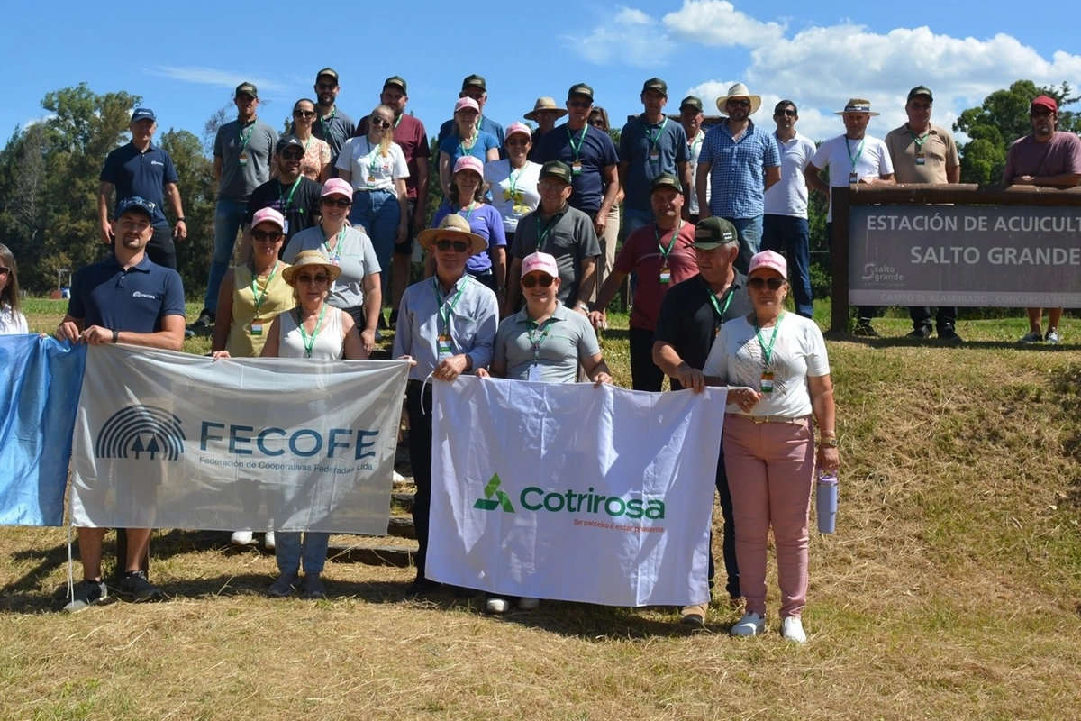 Cooperativa Cotrirosa de Rio Grande do Sul