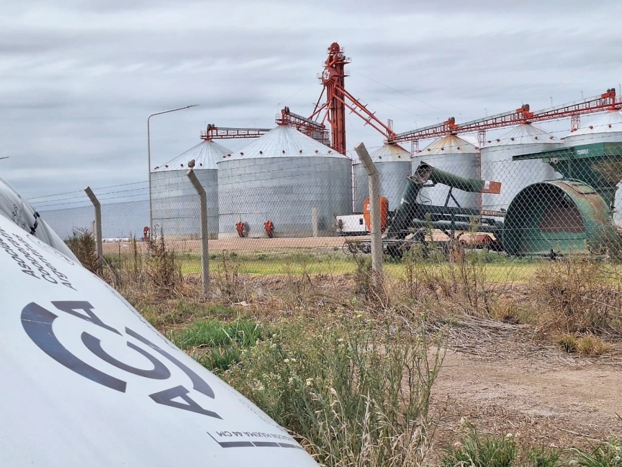 <i>La campa&ntilde;a 2025/26 de trigo alcanz&oacute; 27,8 millones de toneladas</i>