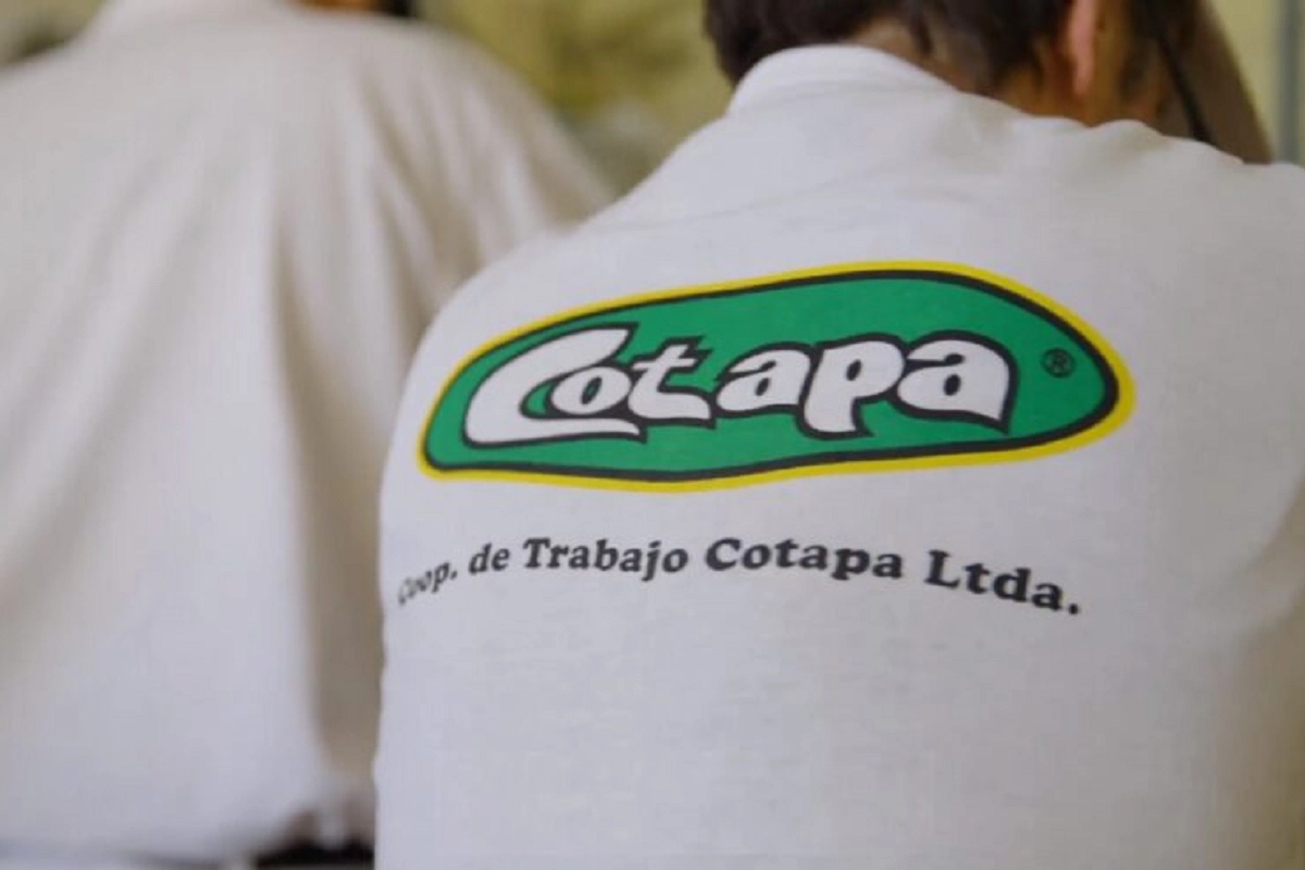 Cotapa: avanza en el proceso judicial