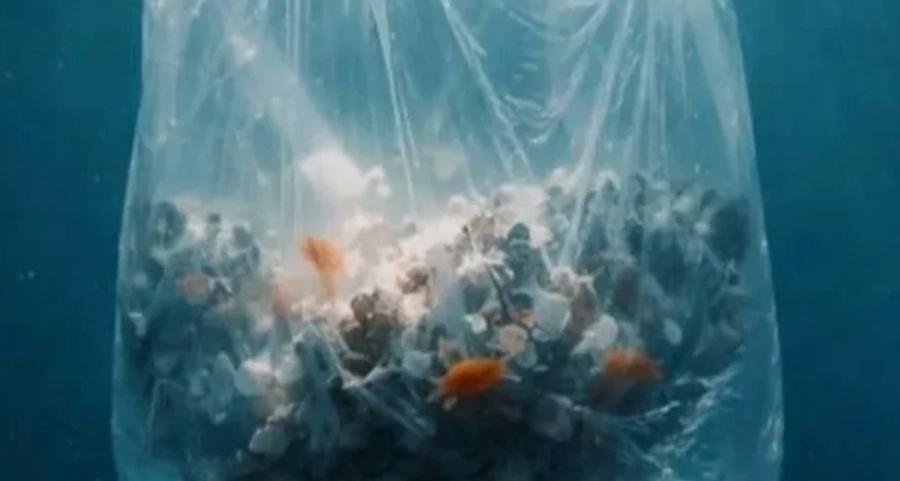 <i>La contaminaci&oacute;n pl&aacute;stica es uno de los problemas ambientales m&aacute;s urgentes de nuestro tiempo</i>