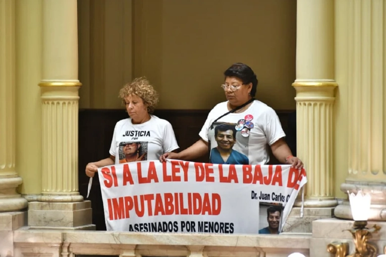 El Senado sancion&oacute; la baja de la imputabilidad a 14 a&ntilde;os