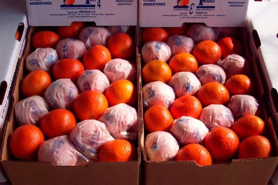 Las naranjas, entre los productos que m&aacute;s subieron