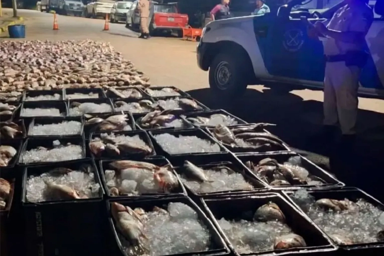 Prefectura realiz&oacute; millonarios decomisos por pesca ilegal en Villa Paranacito