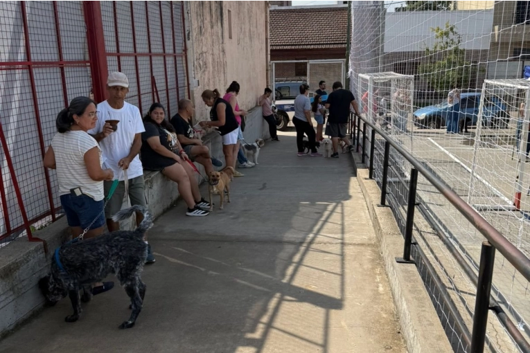 Operativo sanitario: tras caso de rabia se vacunaron a m&aacute;s de 150 animales