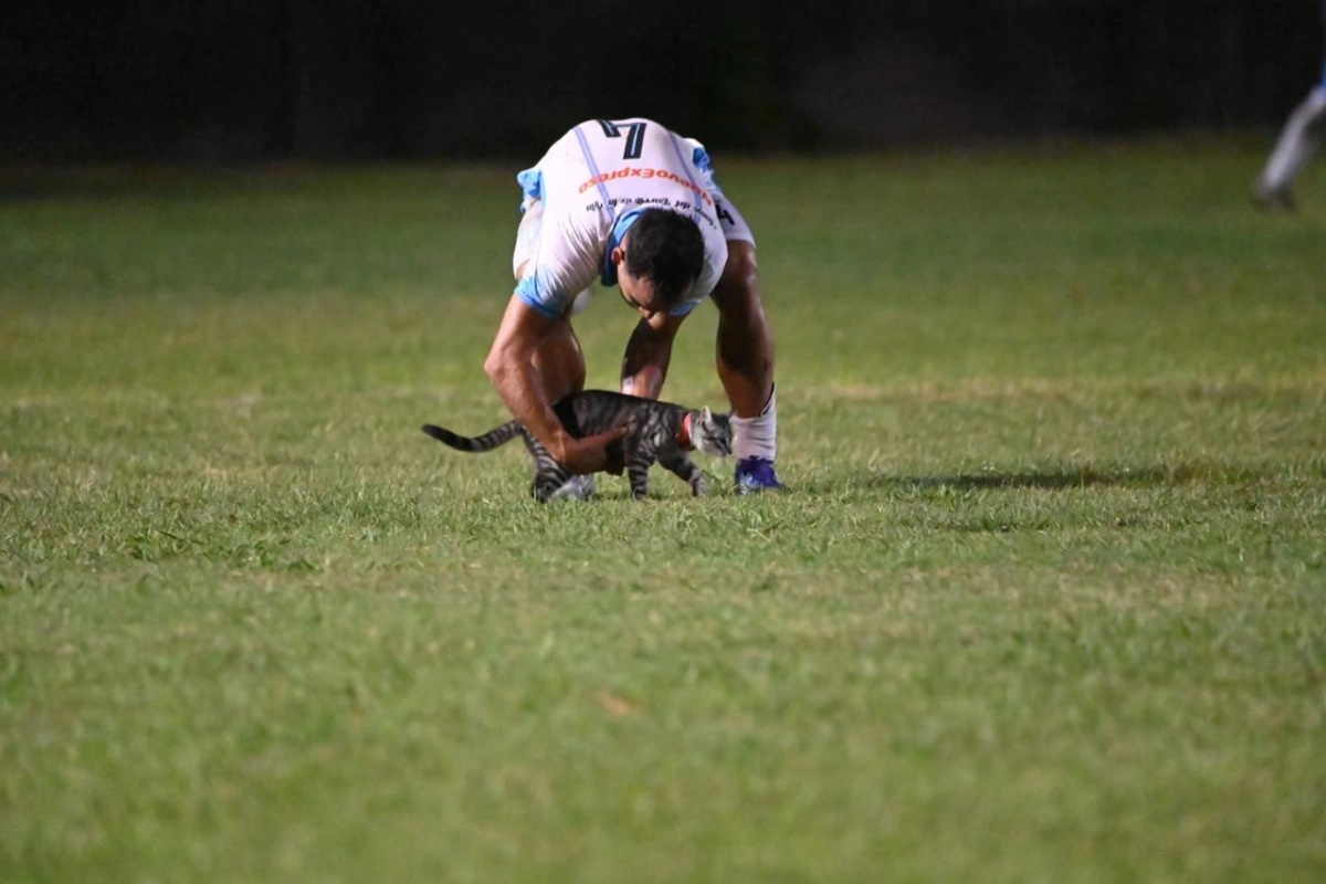 Rodrigo Gim&eacute;nez lo retir&oacute; del campo
