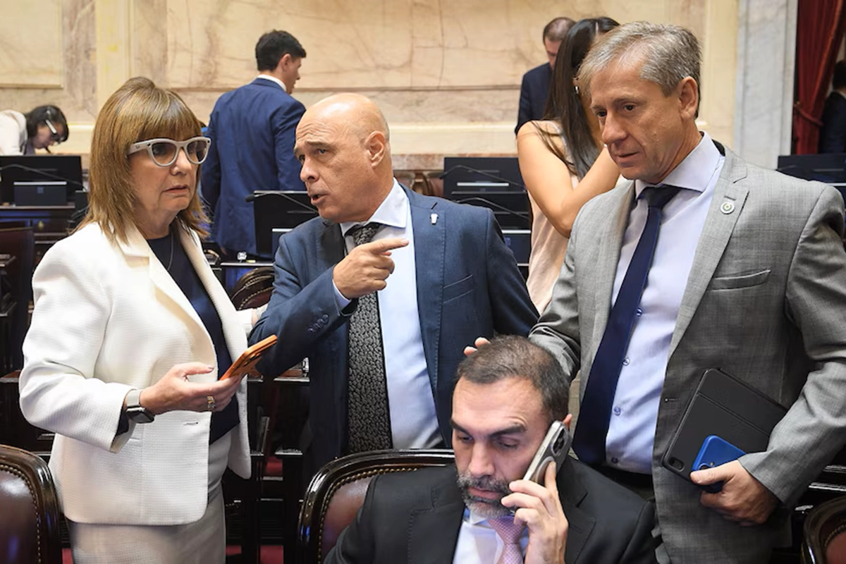 Patricia Bullrich junto al radical Eduardo Vischi
