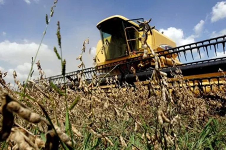 Retenciones y reformas: una entidad del campo busca definiciones en el Congreso